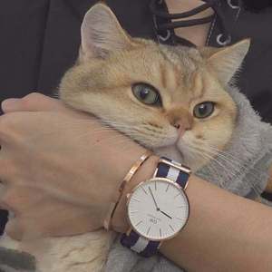 宁艺卓做爱视频
